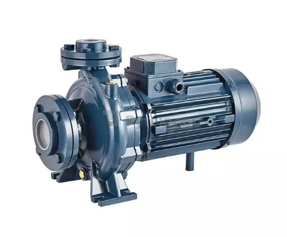 Насос центробежный моноблочный Purity PSTC 50-250/150