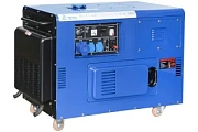 Дизельный генератор для дома ТСС SDG 12000EHS