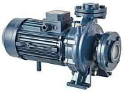 Насос Purity PSTC 50-125/30