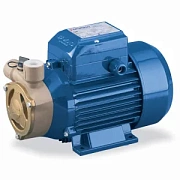 Насос Pedrollo PQAm 72 220V