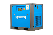 Винтовой компрессор Hansmann RSA 7.5-12 (IP54)