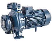 Насос центробежный моноблочный Purity PSTC 40-160/40