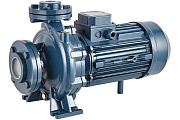 Насос центробежный моноблочный Purity PSTC 50-200/92
