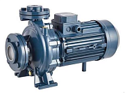 Насос центробежный моноблочный Purity PSTC 40-160/30 (N)